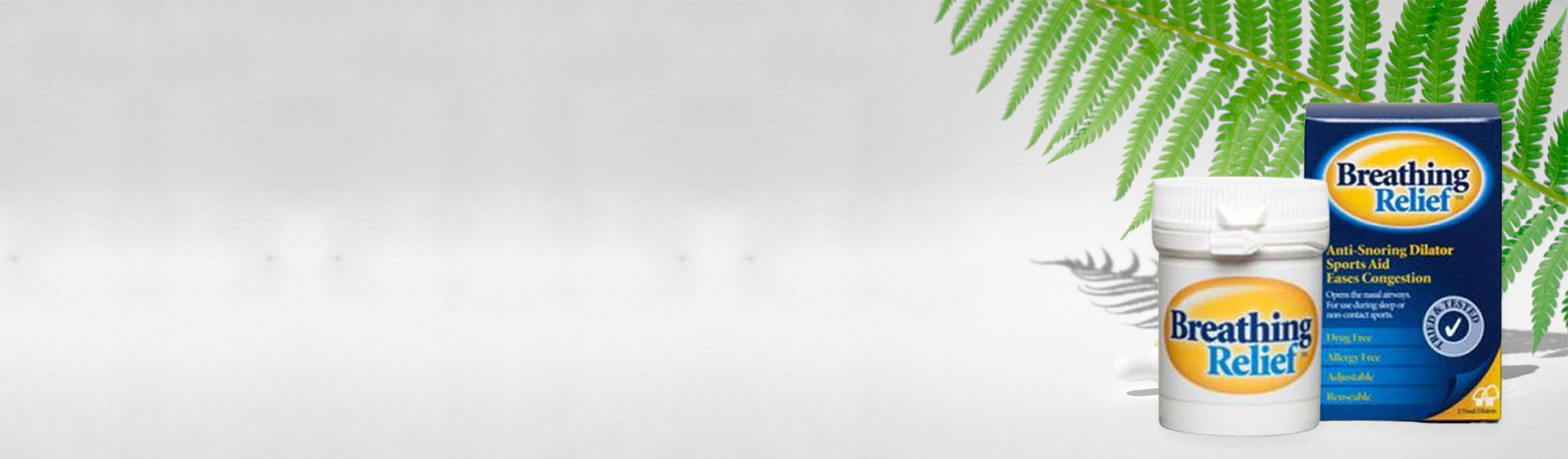 noni-banner.jpg